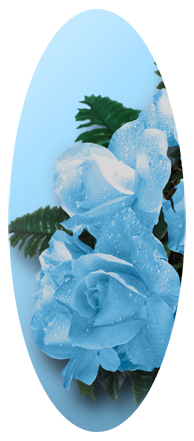 Bouquet Of Roses Blue